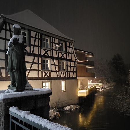 Sternen Bohlingen Aparthotel Singen Bagian luar foto