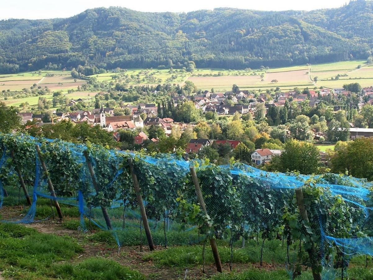 Sternen Bohlingen Aparthotel Singen Bagian luar foto