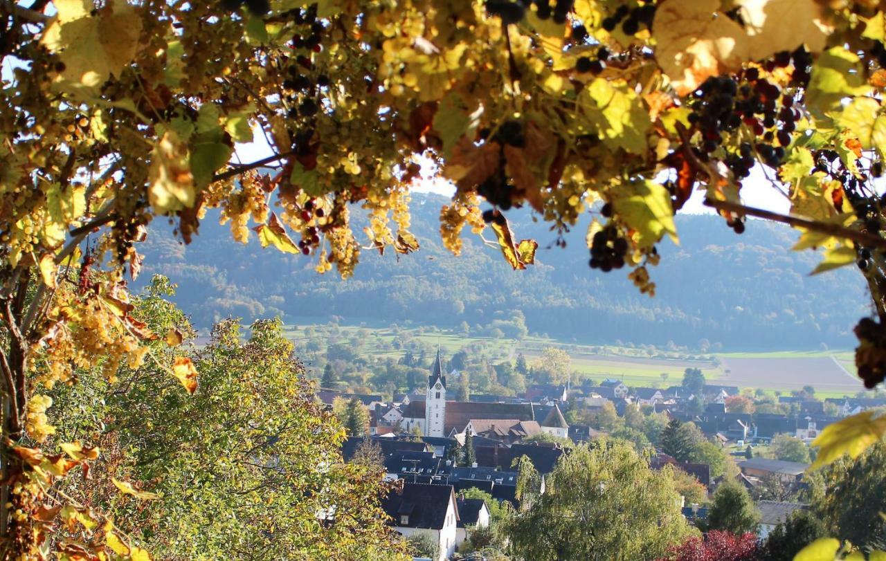 Sternen Bohlingen Aparthotel Singen Bagian luar foto